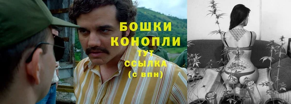 спайс Богородск