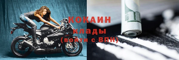 мяу мяу мука Бородино