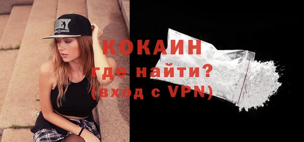 спиды Богородицк