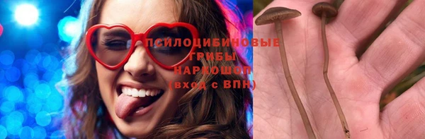 спиды Богородицк
