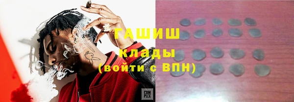 спиды Богородицк