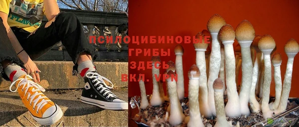 ALPHA PVP Богданович