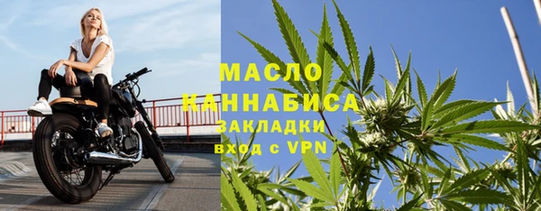 спиды Богородицк