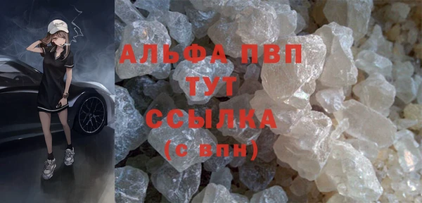 спиды Богородицк