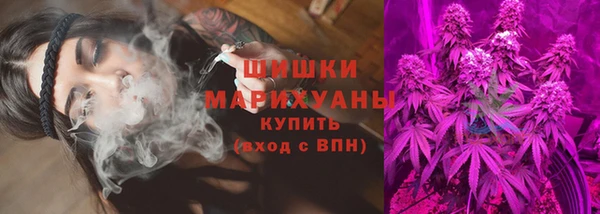 спиды Богородицк